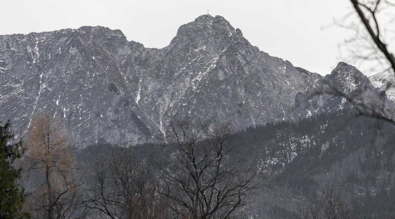 Twoja Chata Apartamenty Pod Niebem Zarezerwuj Na Podhalami Pl Kościelisko Extérieur photo